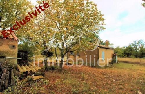 Maison et cabanon sur grand terrain