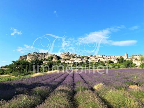 Belle maison de village à Saignon avec terrasse